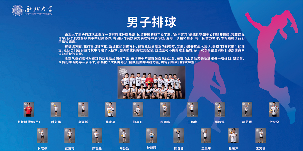 飞速体育赛事资讯平台