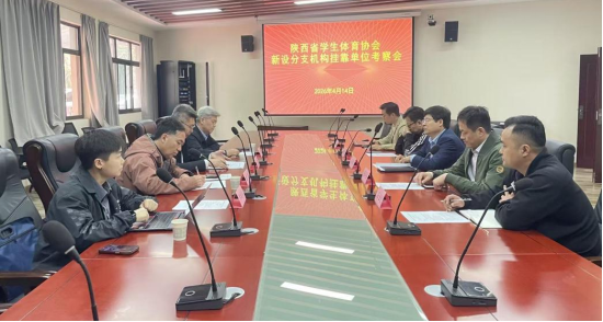 飞速体育安全通道图片