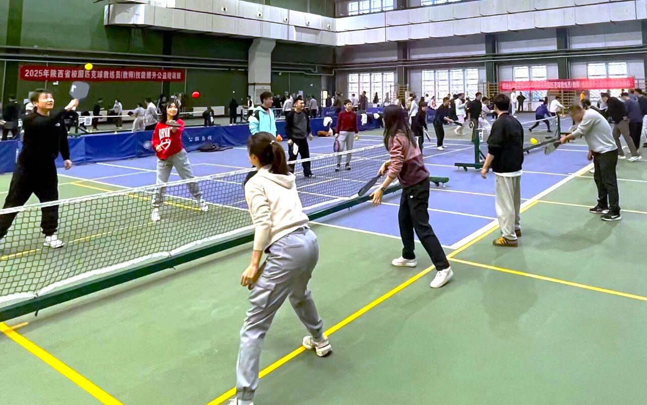 飞速体育指定入口图片