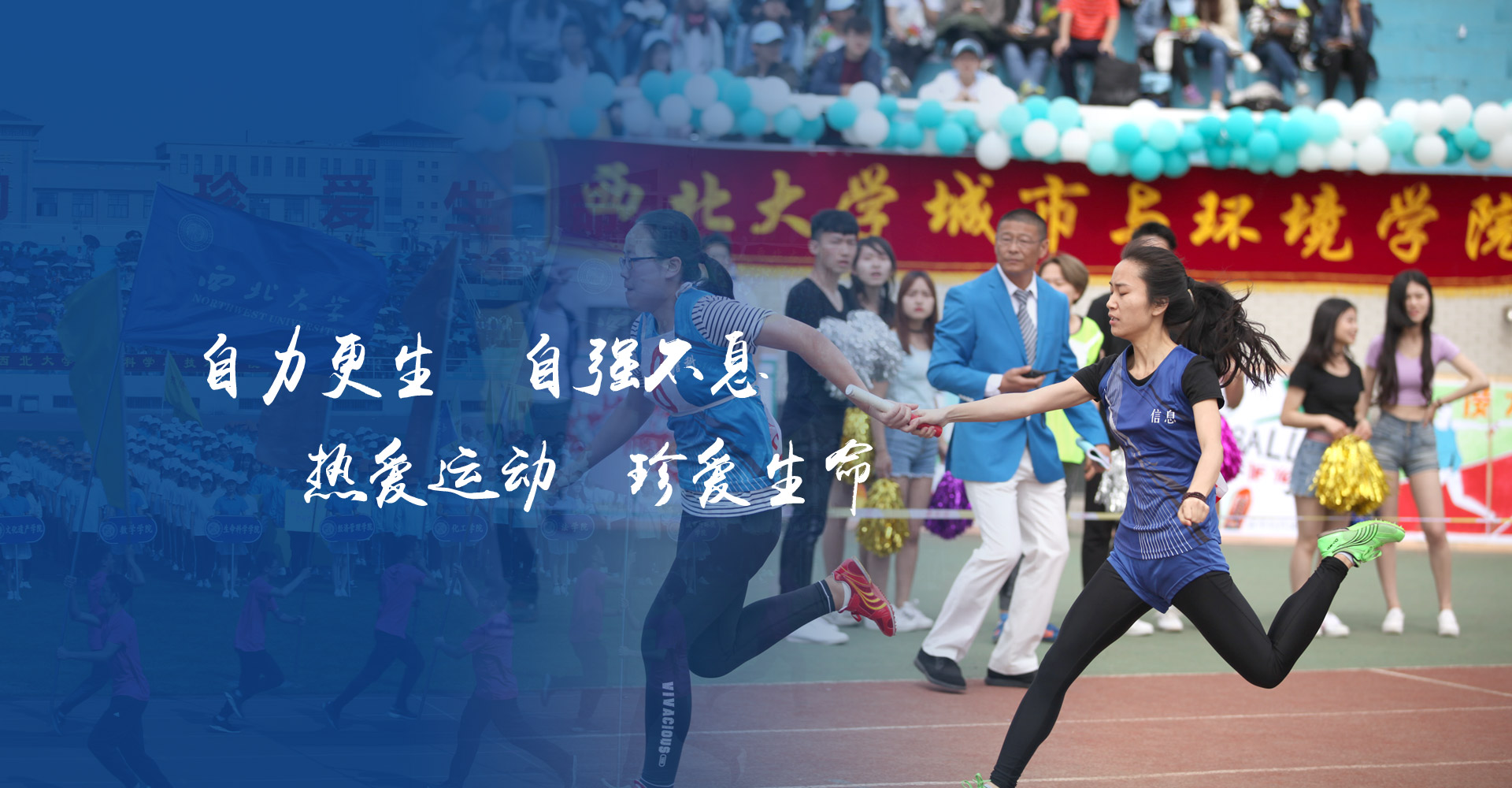 飞速体育指定通道